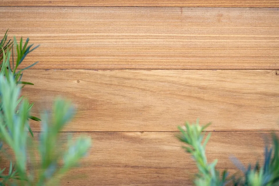 Close-up of a horizontal wood fence board with visible grain beside soft-focus planting